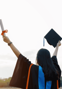 Law School Profiles Category